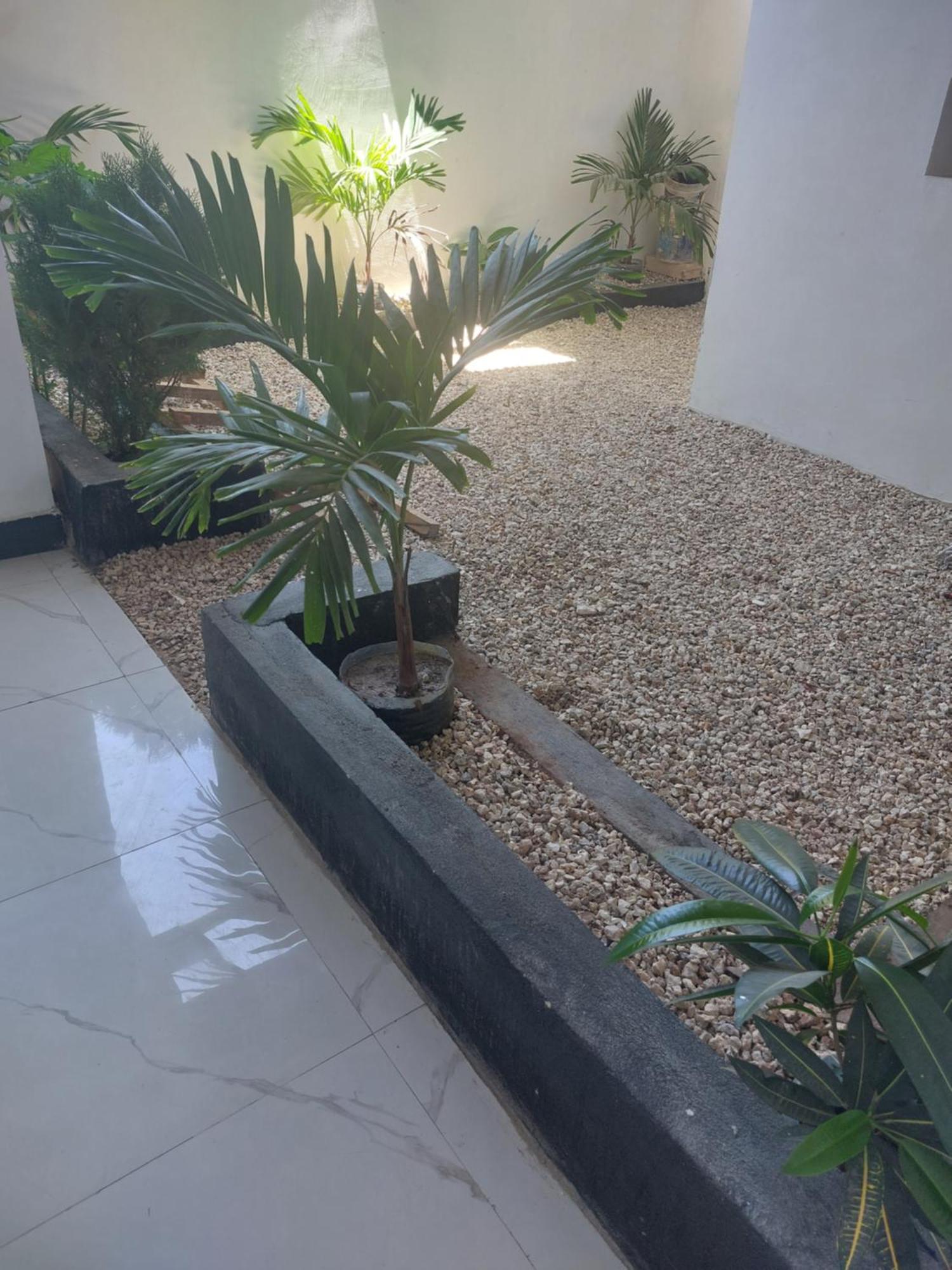 Zansi Beach House Nungwi Eksteriør bilde